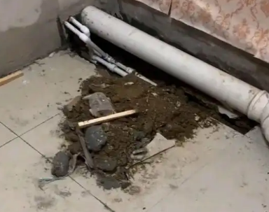 抚远卫生间漏水检测哪家好