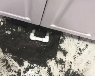 抚远查漏水哪家好